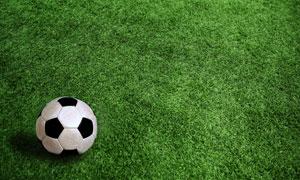  正版让球网评级：球迷的导航仪与防坑指南（正版让球网评级）-第1张图片-下球网-买球站-世界杯下注网-下球网-压球网-让球网-世界杯app-2026世界杯-美加墨世界杯-意甲下注网-西甲下球网-德甲买球站-法甲买球网-英超买球网站